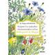 Soigner les maladies rhumatismales selon Hildegarde de Bingen
