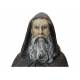 St Antoine Ermite - 45 cm - Pierre de France