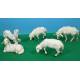 Set de 5 moutons - Max 3 cm