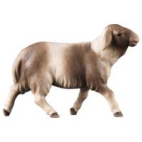Houtsnijwerk Schaap Gevlekt/Lopend voor kerstfiguren van 16 cm/Gekleurd 