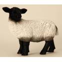 Mouton 31 Cm Noir