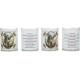 Set de 4 bougies - St Michel - texte 5 langues