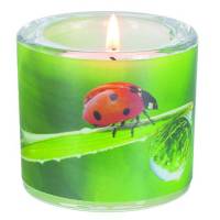 Verre+Chauffe-Plats 6 X 6.5 Cm Veel Geluk