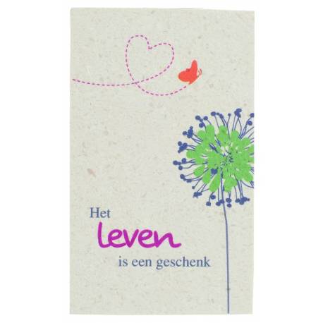 Natuursteen 10 X 6 Cm Het Leven ... 