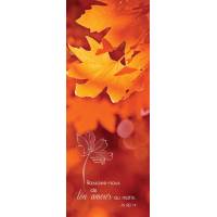 Signet 15 X 5.5 Cm Photos Nature + Verset Biblique