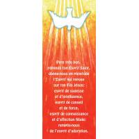 Signet 15 X 5.5 Cm Maite Roche + Verset Biblique