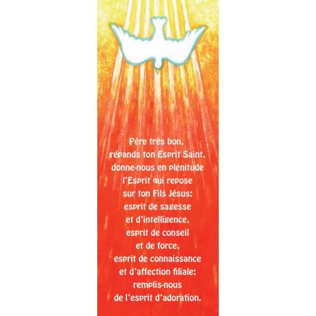 Signet 15 X 5.5 Cm Maite Roche + Verset Biblique