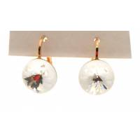 Oorringen Swarovsky Kristal Op Koperkleur 