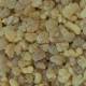 Encens Aromatique Olibanum 1 Kg
