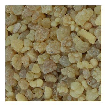 Encens Aromatique Olibanum 1 Kg