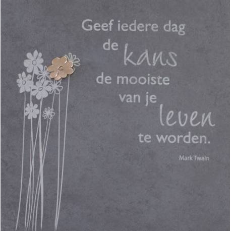 Leisteen 30 X 30 Cm Geef Iedere Dag... 