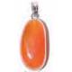Gezondheidssteen Hanger 25 X 15 Mm Cornaline 