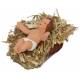 Santon Gateau 7 Cm Jesus Sur Paille