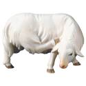 Schaap Krabbend : houtsnijwerk kerstgroep Komet 12 cm 