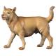 Chien 25 Cm Couleur