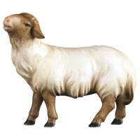 Houtsnijwerk Schaap Met Zwarte Kop voor kerstfiguren van 16 cm/Gekleurd 