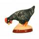 Santon Gateau 7 Cm Zwarte Kip 