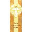 Signet 15 X 5.5 Cm Maite Roche + Verset Biblique