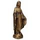 Miraculeuse 35 Cm Bronze