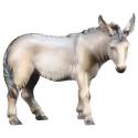 Ane 10 Cm Couleur
