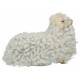 Napolitaanse Santon 22 Cm Schaap 