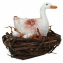 Kip Op Nest 4 Cm 