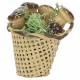 Panier De Champignons 4 Cm
