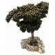 Santon Gateau Denneboom 