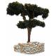 Santon Gateau Pin Maritime