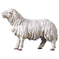 Houtsnijwerk Schaap Kijkend 12 Cm / Gekleurd 