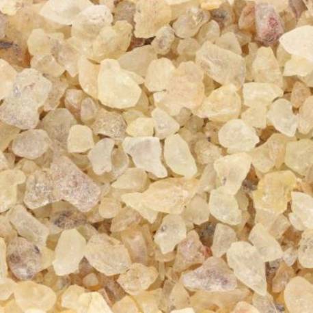 Encens Copal 1 Kg