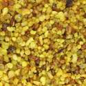 Encens Jérusalem 1 Kg