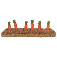 Rang de carottes