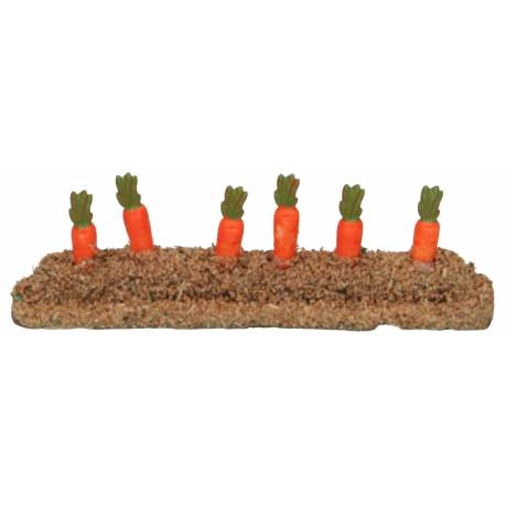 Rang de carottes