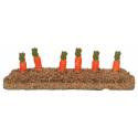 Rang de carottes