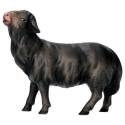 Zwarte schaap Kijkend voor kerstfiguren van 16 cm / Gekleurd 
