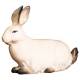 Lapin pour personnages de crèche de for nativity figurines of 10 cm Couleur