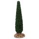 Provencaalse decor Cipres H 13 cm 
