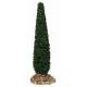 Provencaalse decor Cipres H 13 cm 