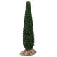 Provencaalse decor Cipres H 13 cm 