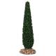 Provencaalse decor Cipres H 13 cm 