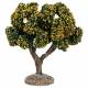 Provencaalse decor Appelboom 