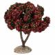 Provencaalse decor Appelboom 
