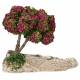 Décor pour santons de Provence Abreuvoir avec arbre fleuri