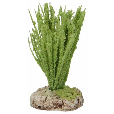 Provencaalse decor Rieten 