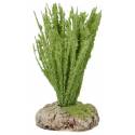Provencaalse decor Rieten 