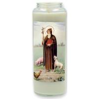 Noveenkaars in glas / wit / H Antonius Abt 
