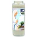 Bougie de Neuvaine en verre / blanc / Buste Banneux + Logo