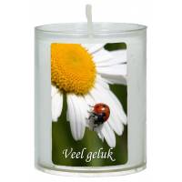 Gelegenheidskaarsje 65 x 50 mm - Veel geluk 