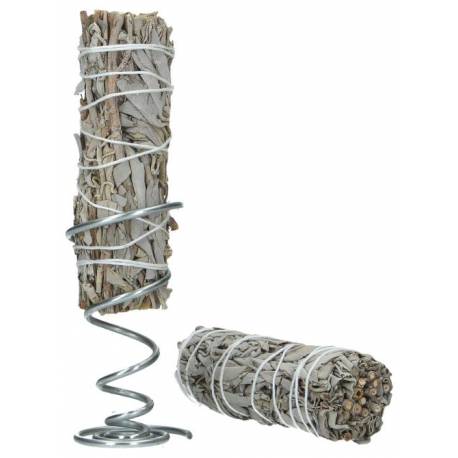 Sauge blanche + support - set de départ